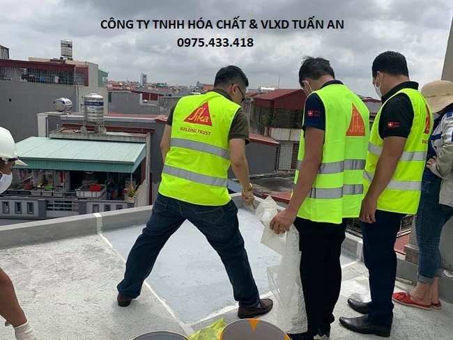 Thi công chống thấm sàn mái trường học | Sika Tuấn An