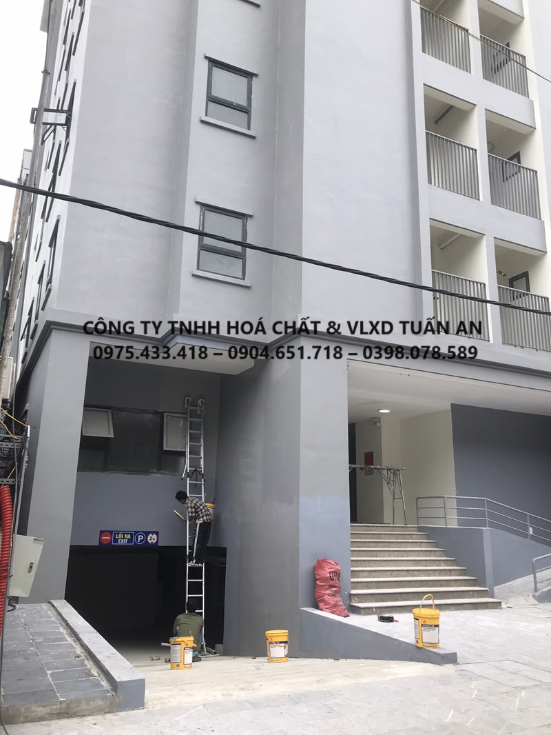 Thi công chống thấm tường ngoài tại Nghệ An cho chung cư 11 tầng bằng Sika Lastic 590 | Sika Tuấn An