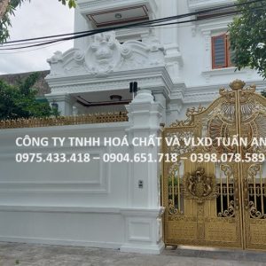 Thi công chống thấm chống nóng biệt thự tại Cửa Lò với Sikalastic 590 - Sika Tuấn An