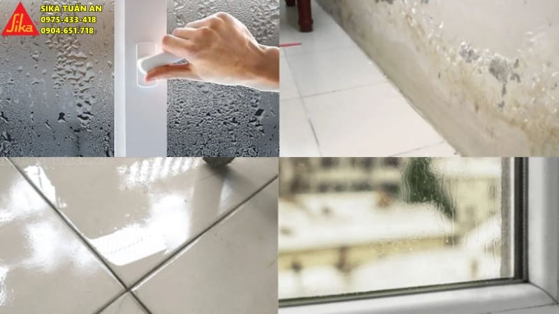 Hiện tượng nồm ẩm