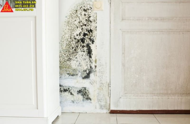 Những ảnh hưởng của nồm ẩm đối với công trình nhà ở