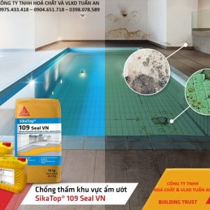 Chống thấm bể bơi với SikaTop Seal 109 VN